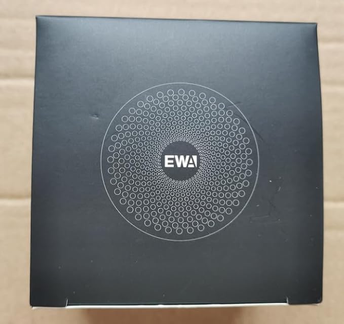 EWA Travel Case Packed, A106 Pro Portable Bluetooth Speaker