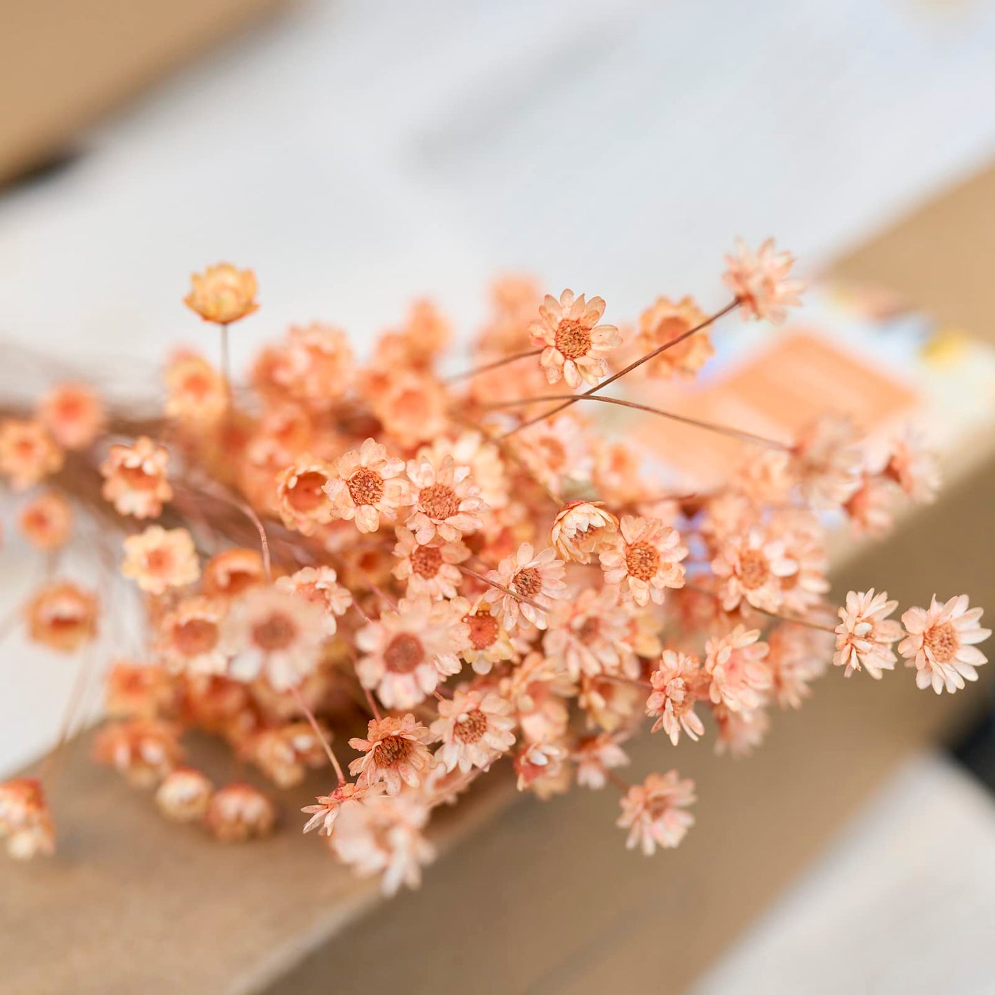 200 Stems Natural Dried Flowers Brazilian Small Star Daisy Dried Decorative Mini Chamomile Bouquet for Wedding Floral Arrangements Home Decorations Valentine's Day Gifts (Orange)