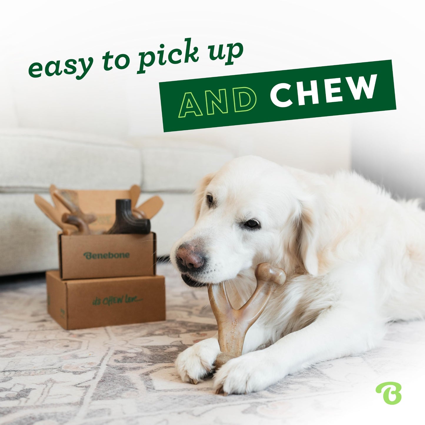 Benebone Medium 4-Pack Dog Chew Toys for Aggressive Chewers, Made in USA, 60lbs and Under