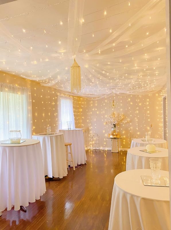 Lighting EVER 594 LED Curtain Lights, 20 x 10 ft Plug in Hanging Fairy String Lights, Wedding Party Backdrop Lights, Window Twinkle Lights for Wall, Patio, NOT Connectable (27 Strings, 9" Apart)