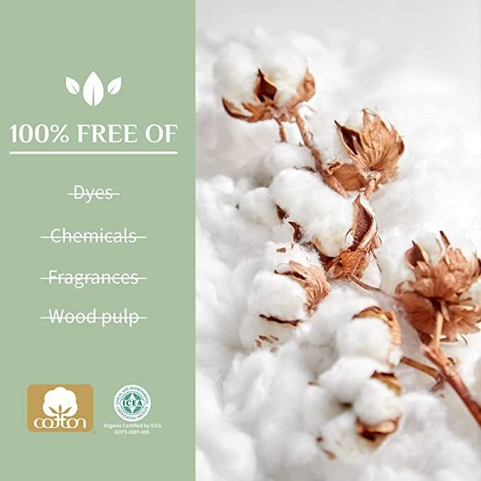 Organyc 100% Certified Organic Cotton Feminine Pads, Moderate Flow, 10 Count