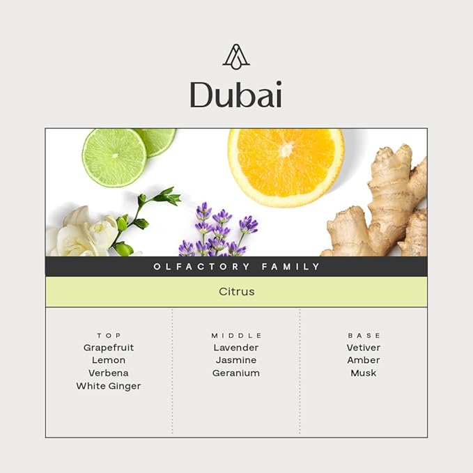 AromaPlan Car Air Freshener Spray, Dubai- Non-Toxic, Concentrated, Odor Eliminator & Long Lasting Car Air Freshener- Car Scent Spray, 5 Star Hotel Scent Fragrances (30 ml)