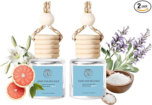 2Pack Sage and Sea Salt Scented Automotive Air Freshener Set, Car Accessories Decoration Hanging Scented Car Diffuser for Men Women Best Gifts