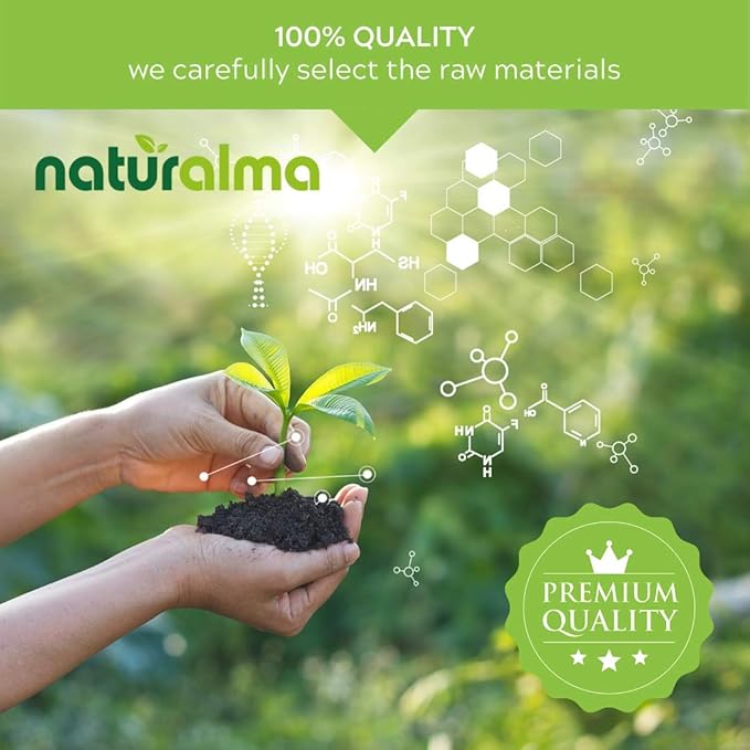 Naturalma Ginkgo (Ginkgo biloba) Leaf Alcohol-Free Tincture - 6.76 fl oz Liquid Extract in Drops - Herbal Supplement - Vegan