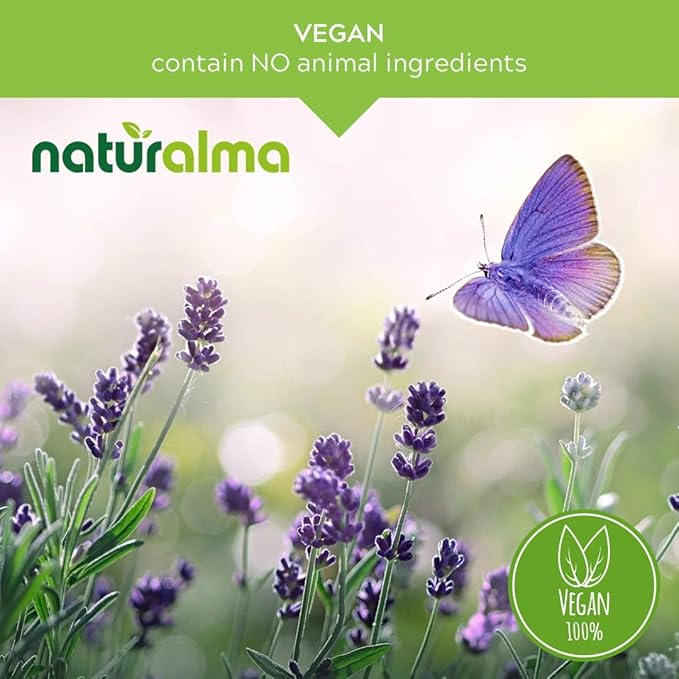 Naturalma Ginkgo (Ginkgo biloba) Leaf Alcohol-Free Tincture - 4 fl oz Liquid Extract in Drops - Herbal Supplement - Vegan