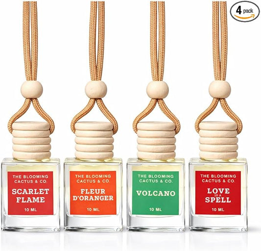 4 Pack Air fresheners | Long lasting car air fresheners, Hand-made in USA | Small room diffuser | Small Business Woman Owned. (10 ml Delightful & Elegant Pack Mix)