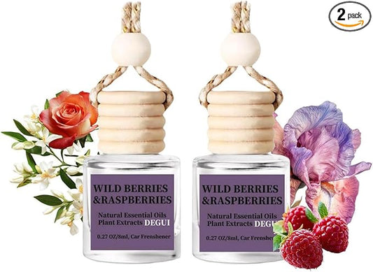 2Pack Wild Berries and Raspberries Scented Automotive Air Freshener Set, Car Accessories Decoration Hanging Scented Car Diffuser for Men Women
