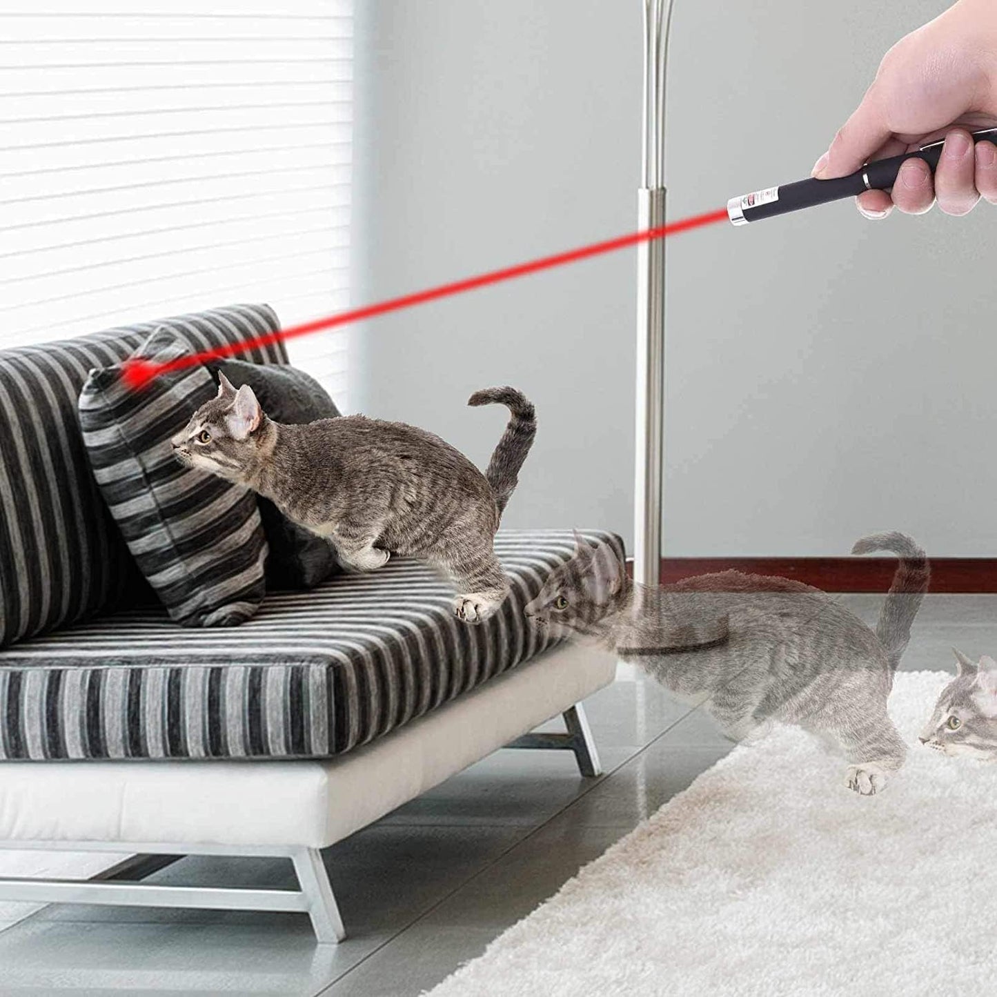MEUSNO 3 Pack Cat Laser Pointer Toy, Red Green Purple Cat Laser Pointer for Cats Dogs Indoor Chaser Cats Dog Pet Laser Toy Laser Light Pointer, Small Laser Pet Toy Geese Deterrent