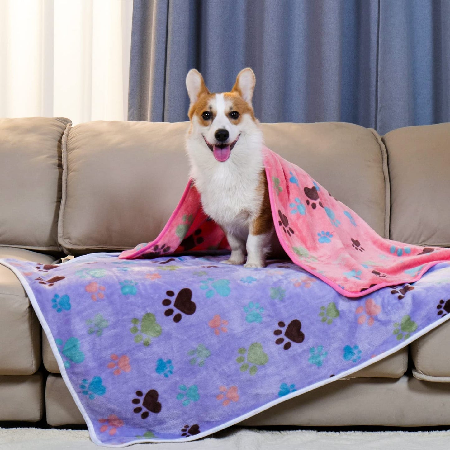 Luciphia 1 Pack 6 Dog Blankets Cat Soft Fluffy Fleece Pet Blanket Warm Cute Print Design Puppy Kitten Doggy Paw Small(23"x16")