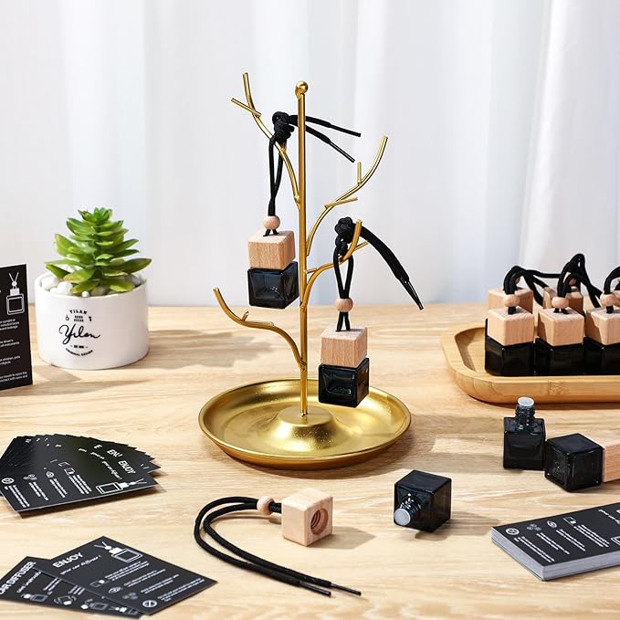 DaisyInner 100 Sets Car Diffuser Bottles Empty Bulk Hanging Car Air Freshener Diffuser Bottles Bulk Glass Perfume Holder with Instruction Cards for Essential Oil Fragrance Pendant(Square,Black)