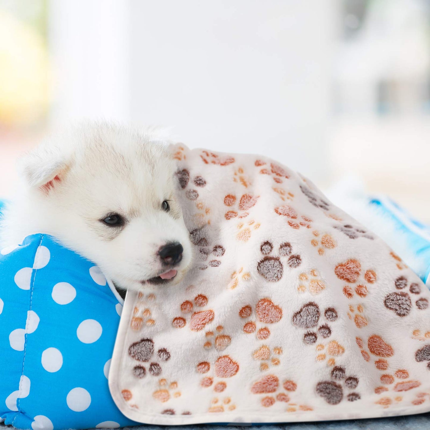 Tatuo 4 Pcs Dog Blanket for Pet Puppy Teething Toys Paw Print Fleece Blanket for Pet Cat Soft Warm Sleep Mat Guinea Pig Cage Mat(Small(24 x 16 Inch),White, Coffee, Pink, Purple)