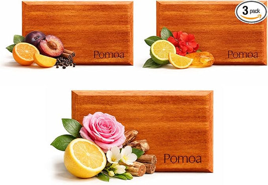 Car Air Freshener Wood 3 Pack — Refillable Solid Diffuser, North American Alder Scent, Leather Visor Clips — No Liquid Odor Eliminator for Cars, Trucks, SUVs