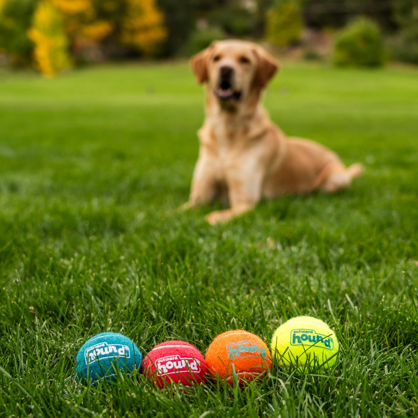 Outward Hound Squeaker Ballz Fetch Dog Toy, Medium - 4 Pack