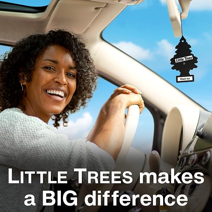 LITTLE TREES Car Air Freshener | Hanging Tree Provides Long Lasting Scent for Auto and Home | 24 Air Fresheners |Sour Pour