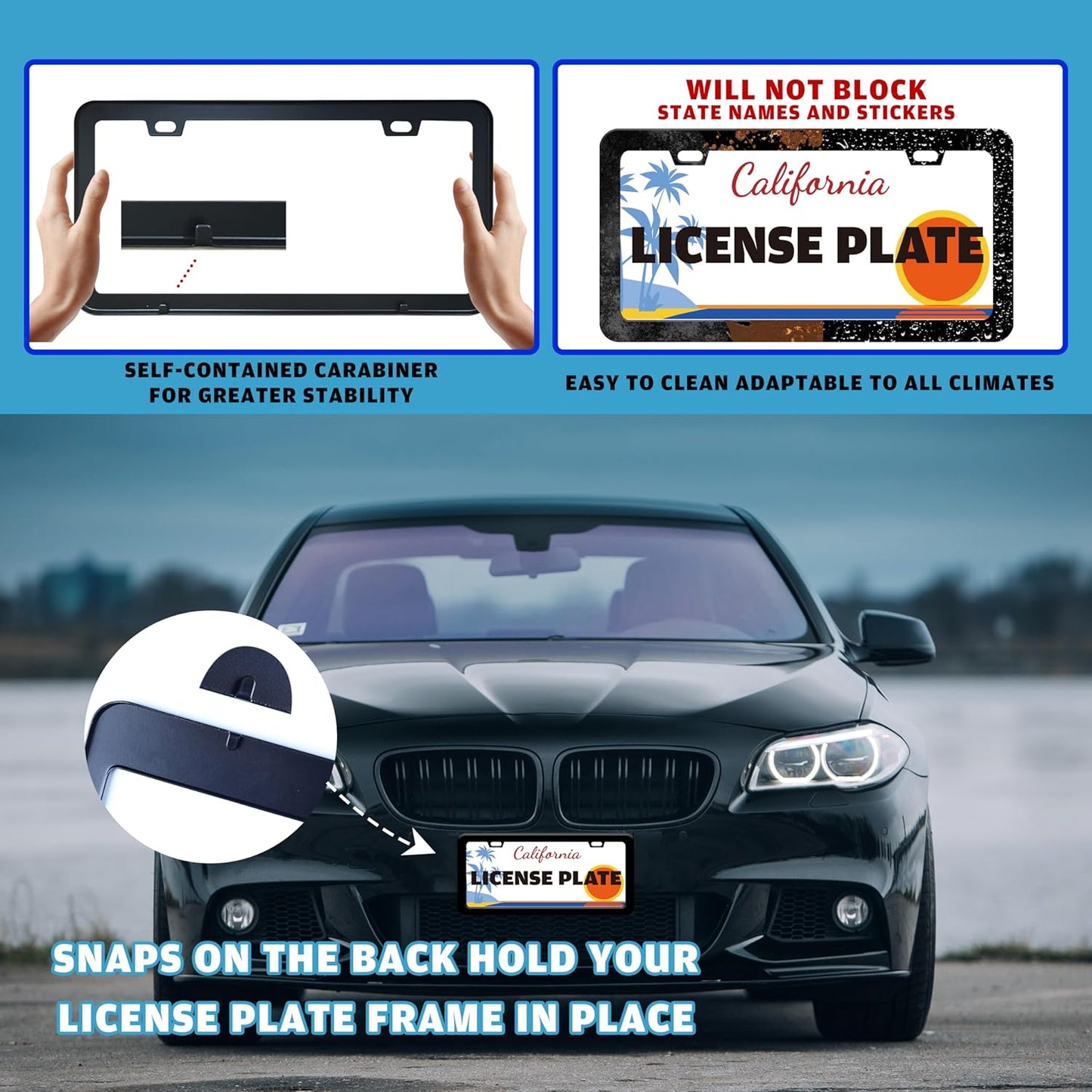 Turtle License Plate Frame Beach Shell Animal License Plate Holder for Front or Rear Car Tags Stainless Steel Funny Car Decoration with Screws 6.3 X 12.2 in
