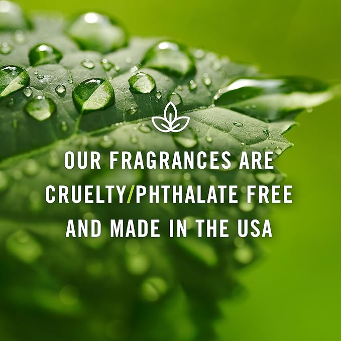 P&J Trading Fragrance Oil for Diffusers for Home - Cranberry 10ml Fragrance Scents for Candle Making - Soap Making Supplies & Car Diffuser Scents