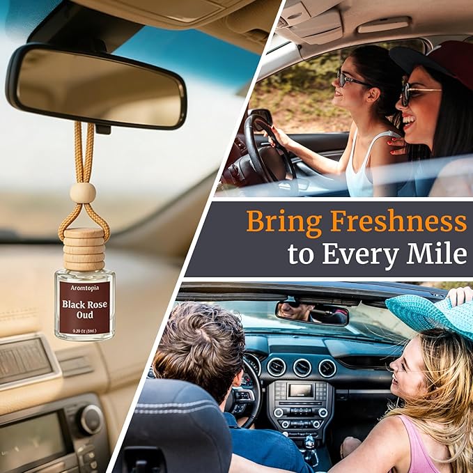 Hanging Car Air Freshener - Aromtopia Woody Scent Car Fragrance Diffusers - Car Odor Eliminator - Long Lasting Scent - Auto Accessories - Wilderness, Pack of 2