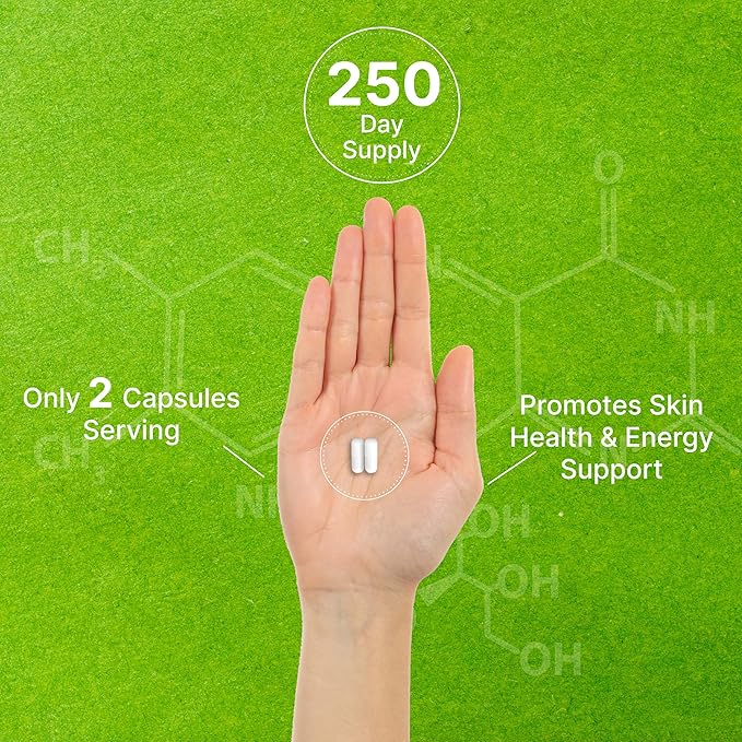 Vitamin B3 Nicotinamide 1,000mg Per Serving – 500 Capsules, Flush Free Niacin, Essential B3 – Supports Healthy Skin & Energy Production – Non-GMO